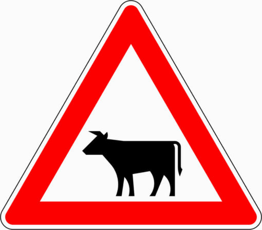 Viehtrieb, Aufstellung rechts