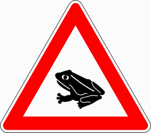 Amphibienwanderung, Aufstellung rechts