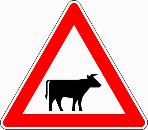 Viehtrieb, Aufstellung links