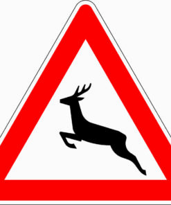 Wildwechsel, Aufstellung rechts
