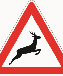 Wildwechsel, Aufstellung links